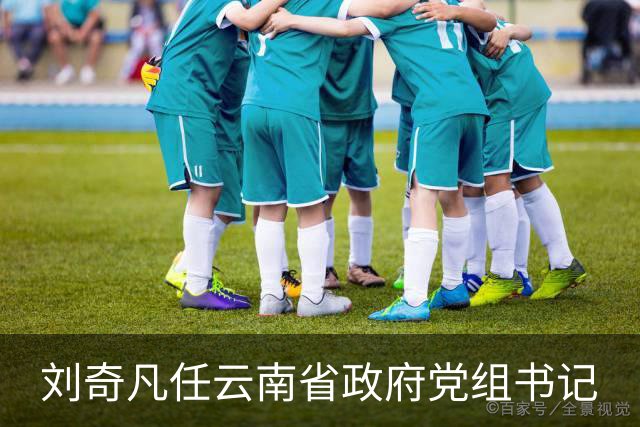 刘奇凡任云南省政府党组书记