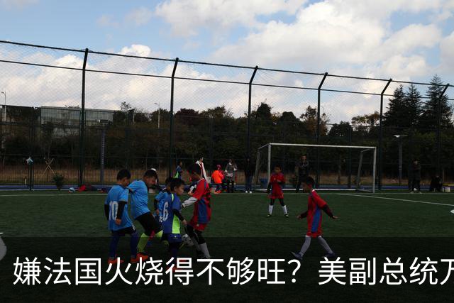 嫌法国火烧得不够旺？美副总统万斯亲自下场浇油：早就警告过你们