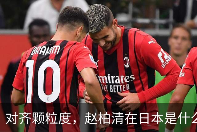 对齐颗粒度，赵柏清在日本是什么水平？