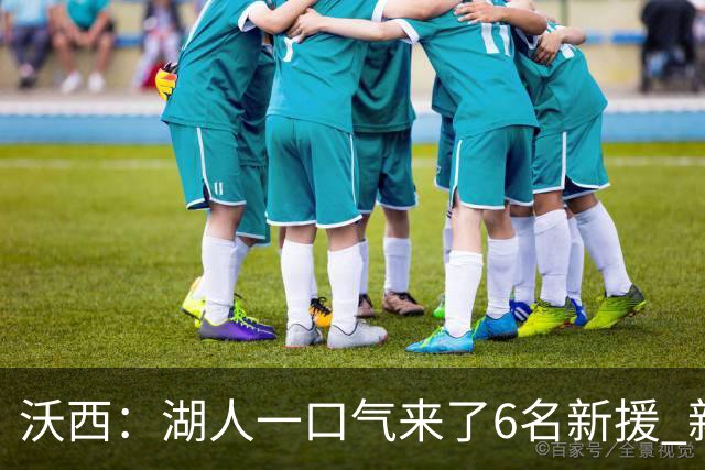 沃西：湖人一口气来了6名新援 新赛季预计西部前五 第六也能接受