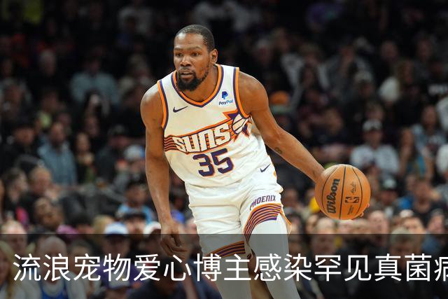 流浪宠物爱心博主感染罕见真菌病逝，年仅27岁，丈夫：妻子在ICU抢救了22天，她随时带着猫狗粮，走到哪里看到流浪猫狗都会喂