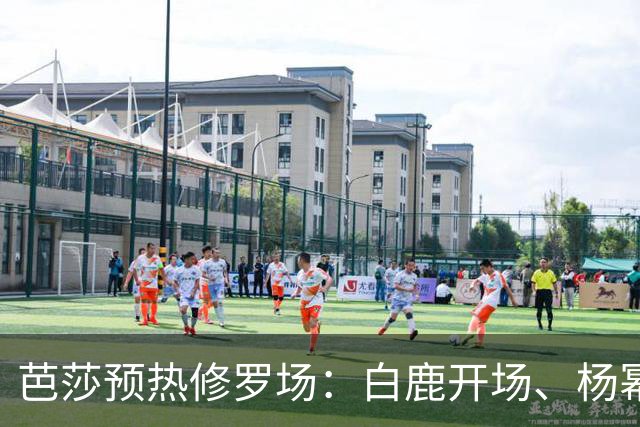 芭莎预热修罗场：白鹿开场、杨幂压轴，85/90/95 三代花同台，高定还要自费卷？