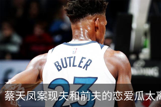 蔡天凤案现夫和前夫的恋爱瓜太离谱了！庭审炸了