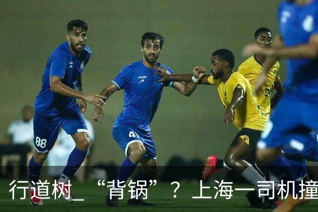 行道树 “背锅”？上海一司机撞树后主张树木全责，结果来了