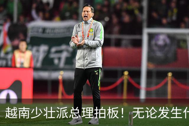 越南少壮派总理拍板！无论发生什么情况，全国4年内一律严禁停电