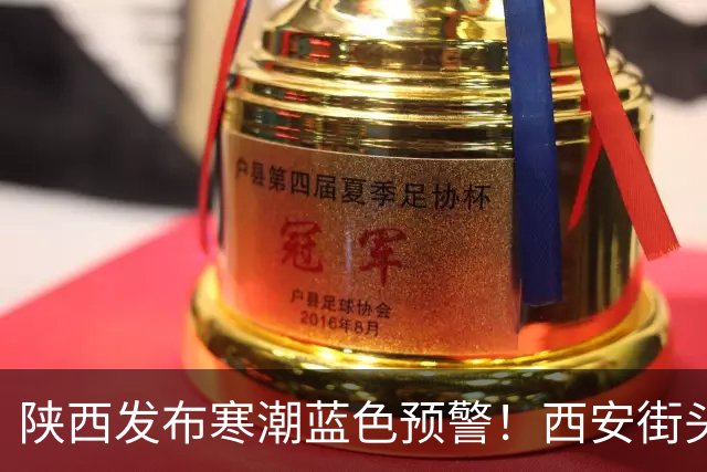 陕西发布寒潮蓝色预警！西安街头大量出现，不要捡！不要吃！有风险→